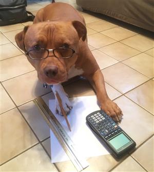 Copper Math